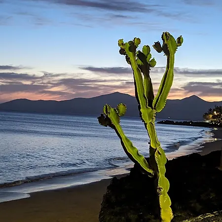 Blue Ocean Dream 卡门港