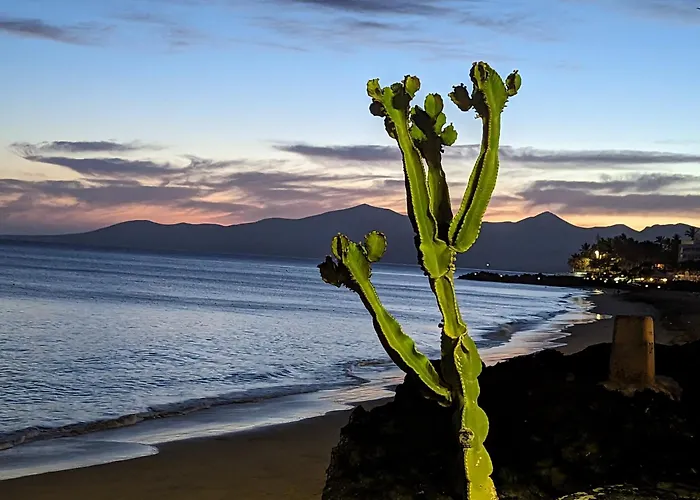 Blue Ocean Dream 卡门港